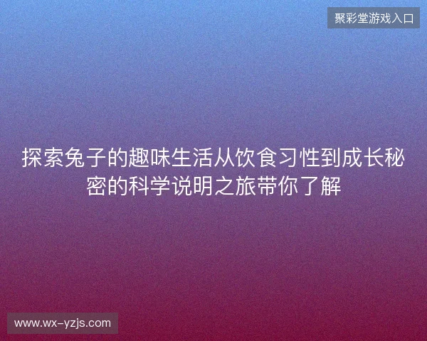 探索兔子的趣味生活从饮食习性到成长秘密的科学说明之旅带你了解